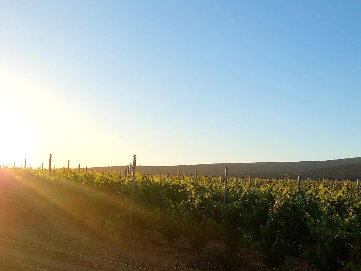 Appartement Roussillon Roussillon en Isere エクステリア 写真