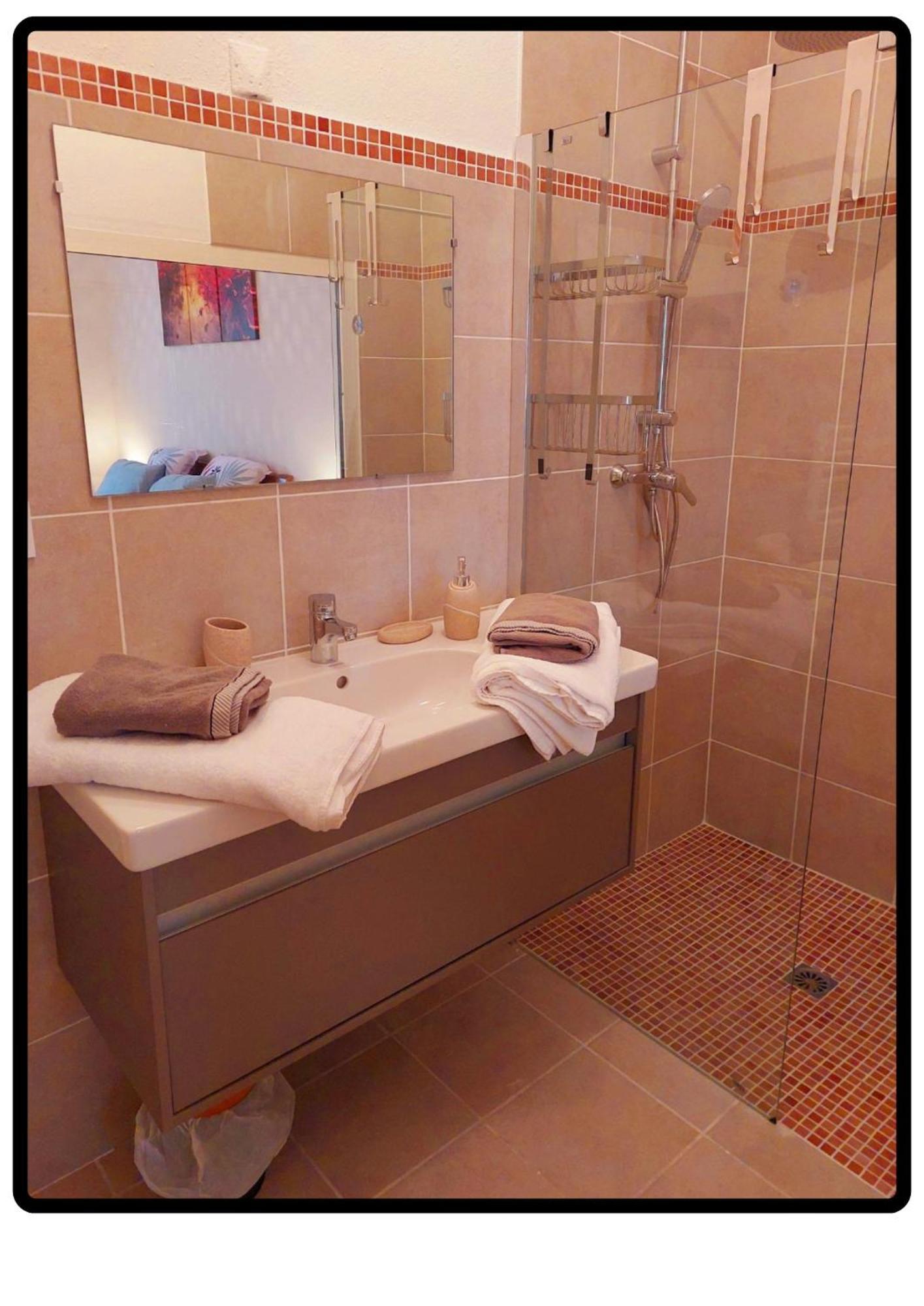 Appartement Roussillon Roussillon en Isere エクステリア 写真